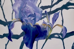 Oil on Canvas